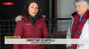 Magic of Lights Hollywild