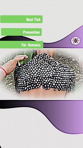 Ticks: Stay Safe Outdoors! Love exploring the great outdoors? Don't let ticks ruin your adventure! How to prevent ticks and stay tick-free! This The Best Tick Prevention for Humans. #tickprevention #preventioniskey #protectyourself