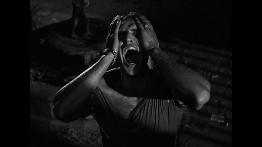 'Hey, Stellaaaaaaaa!' See one of Marlon Brando's defining performances in A Streetcar Named Desire, in cinemas across the UK & Ireland from 7th February. #BFIStreetcar https://theb.fi/2GWUSIX | BFI