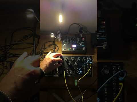 Moog Spectravox Best Drone Music solo Synth