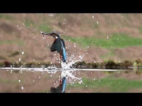 Scottish Photography Hides