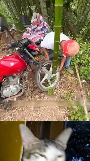 872K views · 6.9K reactions | waduh ada ada saja | Cartoon Old'd | Facebook