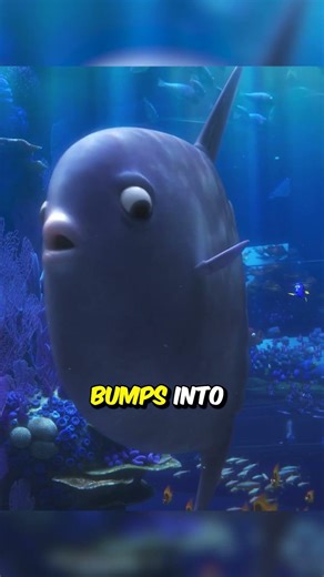 Did You Know In Finding Dory