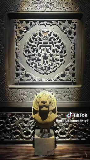 2025 Yearly Recap: Highlights and Trends