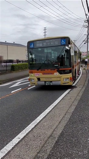神奈中バス通過展望