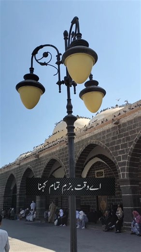 Nabi k rozy py jany Walu 🕊️#islamic #youtubeshorts #trending #shorts #foryou #madina #islamicstatus