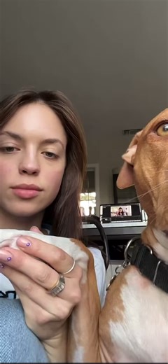 Knot Tying Techniques at the Zoo