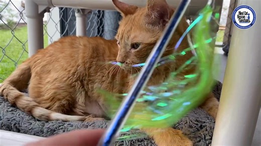 3.6K views · 397 reactions | We invite you to join us in celebrating...