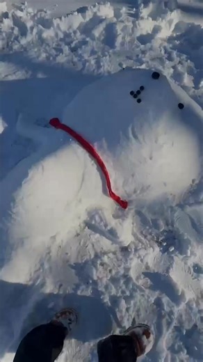 Awesome Snow Bear Thanks Tabitha Clemons 💙 | Fighting Crime News and Who's Wanted