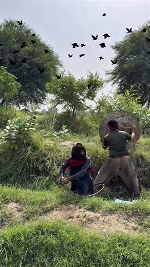 Amazing crow hunting🐦‍⬛🐦‍⬛ #birds #crows #wildlife #reelsvideoシ | Hunting Adventure