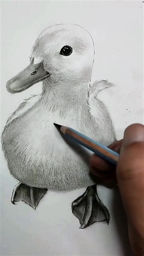 Realistic Duck Drawing Tutorial - Step by Step Guide for Beginners