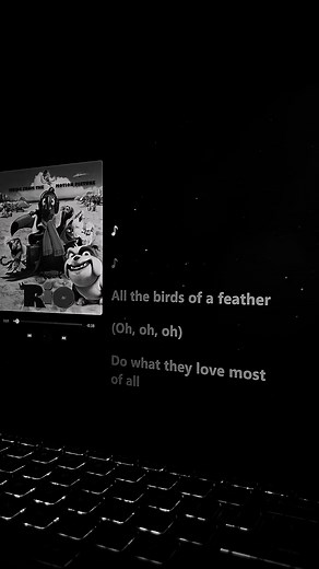 All the Birds of a Feather Lyrics from Rio Film