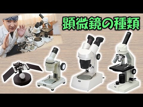 顕微鏡の種類と違い～解剖顕微鏡、双眼実体顕微鏡、生物顕微鏡～