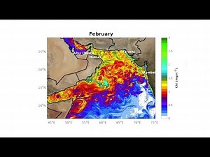 NYUAD Researchers Discover Causes of Arabian Sea Dead Zone Expansion