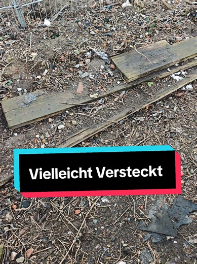 Tipps zum Finden von Rattenverstecken