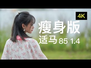 瘦身适马85mm f1 4 DG DN Art镜头实拍体验【赵君日记Vlog88】4K