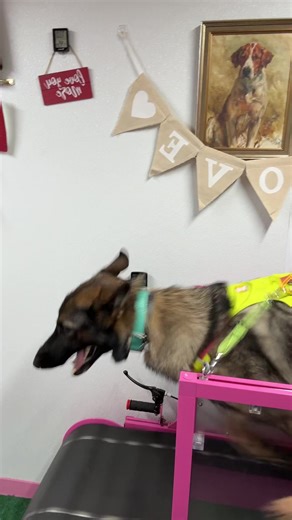 Maka Madness: The Joy of Running Without Restraints