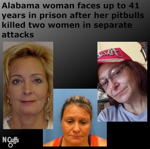 A woman is facing a lengthy prison sentence after her pitbulls mauled two women to death in separate attacks one day apart. 42-year-old Brandy Dowdy was found guilty of manslaughter and criminally negligent homicide in the deaths of 44-year-old Michelle Ann Sheeks and 58-year-old Jacqueline Summer Beard. Sheeks was attacked by the dogs while jogging near her Red Bay, Alabama, home in April 2022. She later succumbed to her injuries. Beard was found deceased the next day, after she was also mauled