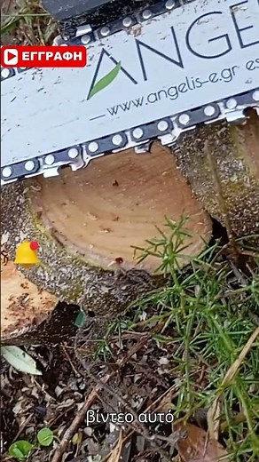 ΑΛΥΣΟΠΡΙΟΝΟ ΜΠΑΤΑΡΙΑΣ-ΚΛΑΔΕΜΑ ΕΛΙΑΣ-ΚΑΘΑΡΕΣ ΚΟΠΕΣ#chainsaw #pruning #tools