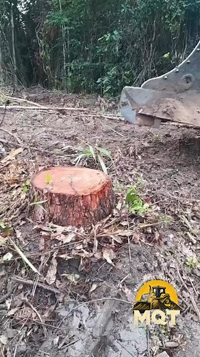 15K views · 583 reactions | Savannah em ação @leonardoramos494 #terraplanagem #caterpillar #catmachines #catd8t #minerio #mineradora #mecanica #manutenção #engenhariacivil #ibuildamerica #ibuildbrazil #builtforit #heavyequipment #mqt #excavator #escavadeira #mina #sotreqcat #pesacat #sotreq #caçamba #instagram #mecanica #picture #mqt #bigbrother #eucalipto #maquinadeterraplanagem #oficina #mecanicapesada #oficinamecanica | Maquinas de terraplanagem | Facebook