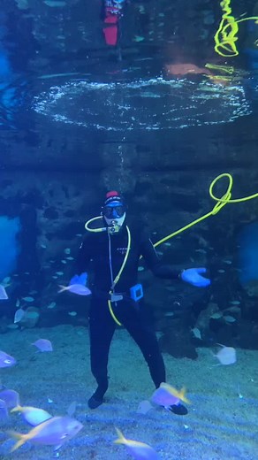 Fun Criss-Cross Dance Tutorial | Cha Cha Slide