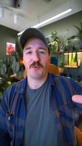 I’ve been using hygrometers for years and they’ve helped me understand my environment way better. Even if it’s still warm here in SoCal, heaters across the country are about to start drying out homes fast. A hygrometer gives you real insight into how your space and your plants are reacting to seasonal changes. Such a simple, underrated tool. Comment ‘LINK’ or check the link in my bio for these @baldronline hygrometers. #baldrtherm #SolarThermometer #solarhygrometer #BaldrThermSolarHygrometer #ad