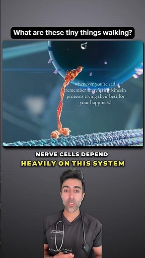 What Are These Tiny Proteins Inside Your Cells