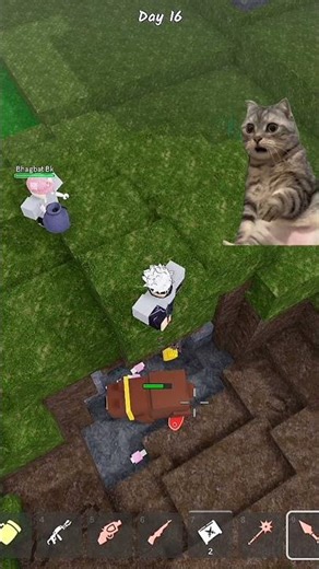 My Friend Loot My Ruby chest 🥺 #voice #99nightintheforest #roblox