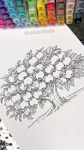 4.6K views · 136 reactions | Many apples  #asmr #coloring #colouring #art #colorindo #coloringbook #satisfying #satisfyingvideos #tree #apple #apples #greenapple | colourlinda | Facebook