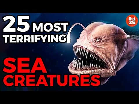 25 Most TERRIFYING Sea Creatures