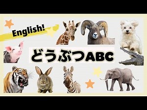 【英語】どうぶつABC【音声つき】
