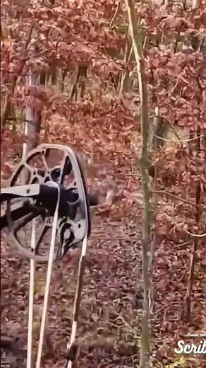 "Epic Moose Hunt in the Wild – Full Adventure!" #deerhunting 🦌