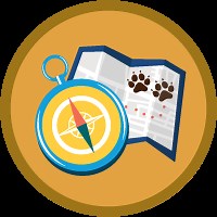 Salesforce Success Plans Overview