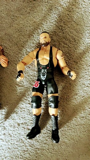 My wwe figure collection #wwe #wrestling #wwefigures