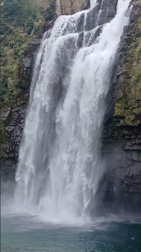 【#大迫力#雄川の滝】#南大隅町#和み動画#絶景#鹿児島県#fall #shorts #ボンドウ