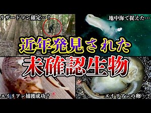 【ゆっくり解説】写真で捉えた！近年発見された未確認生物の証拠がヤバすぎる!!!その正体とは…？