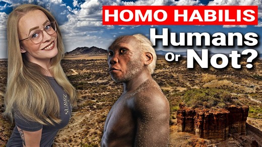 In this video I am going to tell you all about Homo Habilis, the very first species in the Homo genus, the origin of all of us. But was habilis a human species or should they actually be placed in the Genus of the Australopithecines? Let’s find that out in this video. Music by Adrian von Ziegler | History with Kayleigh