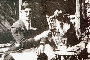 Bluey (dog) - Alchetron, The Free Social Encyclopedia