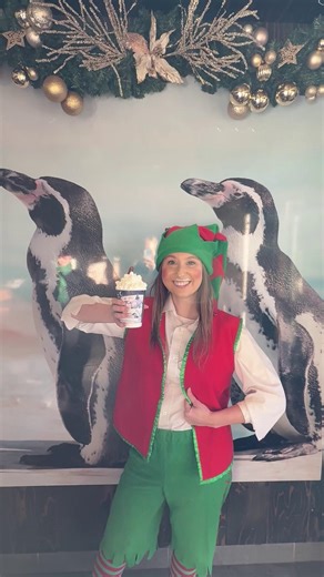 Fuelling up on festive snacks for the journey! Strong energy means Twinkle won’t miss any clues. | Colchester Zoo