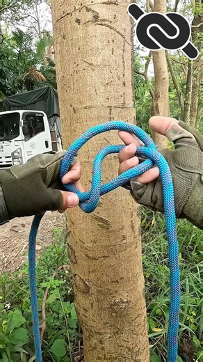 20K reactions · 1.2K shares | Clever way How to tie a Bowline knot? #knotshort | KNOT SHORT | Facebook