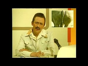 Chanel 9 Neus, Weekend Report - The Fast Show. Remastered [HD]