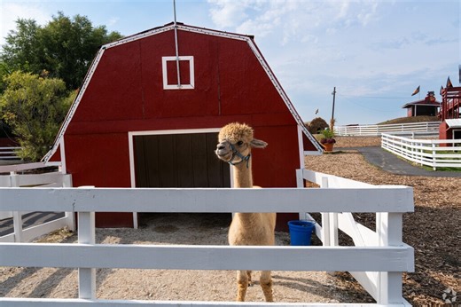 Living in the DuPage Neighborhood of Bolingbrook, IL