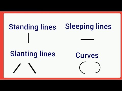 Standing line,Sleeping line,Slanting line,curve/Basic lines and curve practice in four line book
