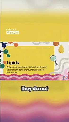 Carbs vs Lipids Why Your Body Stores Energy Differently 🔥 #basicsteps