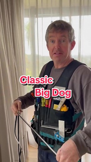 Classic Big Dog Funny Moments Compilation