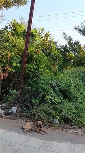 #🥀♥️♥️♥️🥀