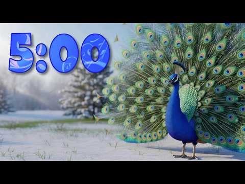 5 Minute Calm Music Timer - Shimmering Peacock 🦚✨