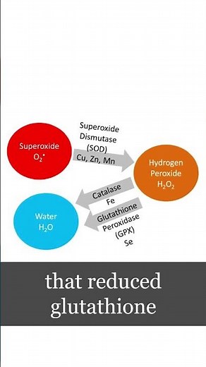 Vitamin D, C, Selenium, Glycine for Lung Barrier