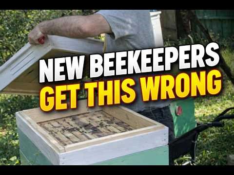 Swarm or Package? New Beekeepers Lose Money Here