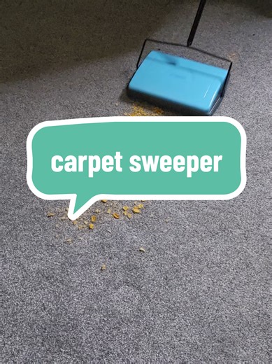 Discover the Benefits of Using a Carpet Sweeper